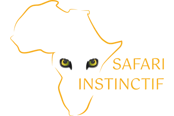 Logo 12
